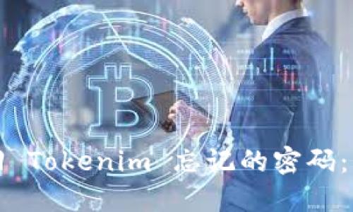 如何找回 Tokenim 忘记的密码：详细指南