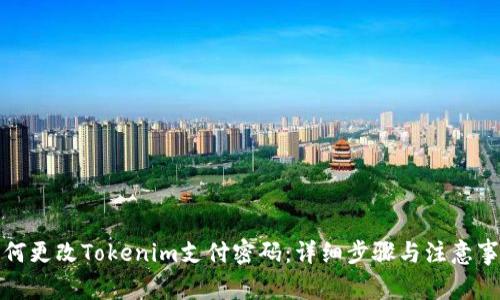 如何更改Tokenim支付密码：详细步骤与注意事项