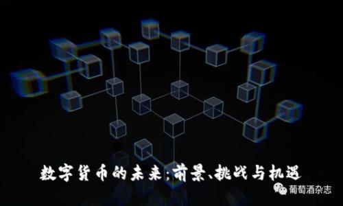 数字货币的未来：前景、挑战与机遇