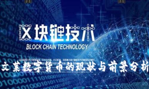 文莱数字货币的现状与前景分析