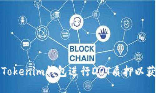 如何通过Tokenim钱包进行DOT质押以获取高收益