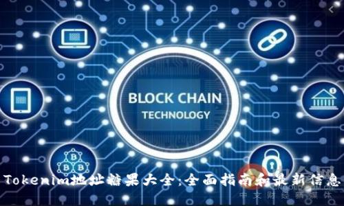 Tokenim地址糖果大全：全面指南和最新信息