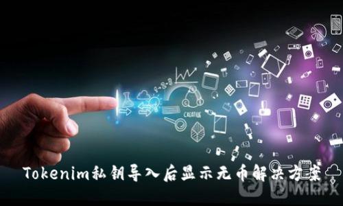 Tokenim私钥导入后显示无币解决方案