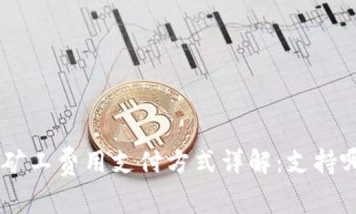 tokenim矿工费用支付方式详解：支持哪些币种？