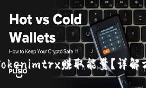 如何通过Tokenimtrx赚取能量？详解方法与策略