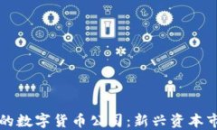 金融属性的数字货币公司