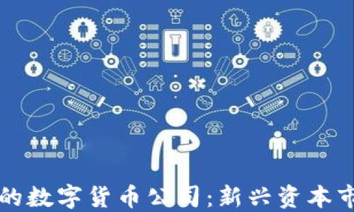 
金融属性的数字货币公司：新兴资本市场的主角