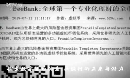 探索数字货币体系：区块链的未来与潜力