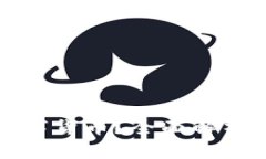 什么是卡尔数字货币？全