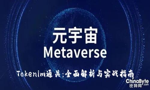 Tokenim通关：全面解析与实战指南