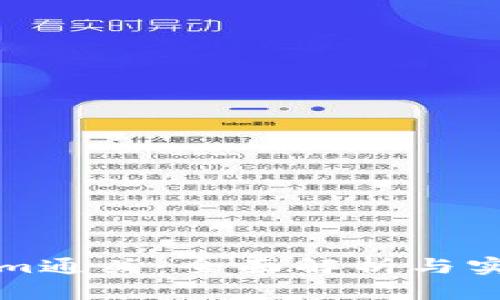 Tokenim通关：全面解析与实战指南