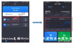 Tokenim支持Grin币：探索不受