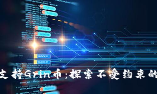 Tokenim支持Grin币：探索不受约束的隐私货币