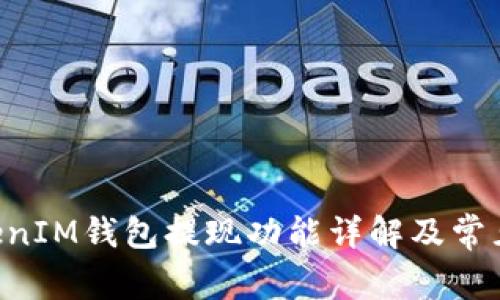 TokenTokenIM钱包提现功能详解及常见问题解答