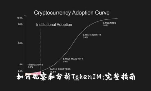 如何观察和分析TokenIM：完整指南