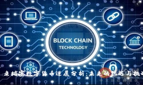 : 柬埔寨数字货币进展分析：未来的机遇与挑战