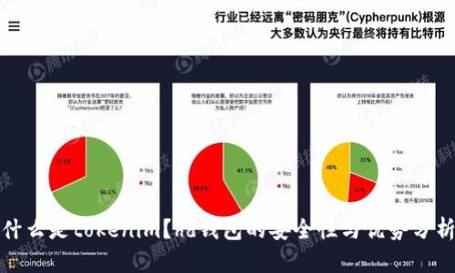 什么是tokenim？hd钱包的安全性与优势分析