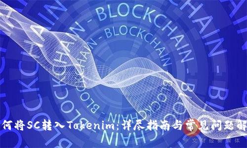 如何将SC转入Tokenim：详尽指南与常见问题解答