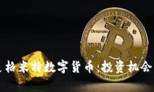 深入探讨麦格米特数字货币：投资机会与风险分析
