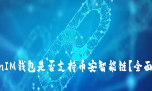 TokenTokenIM钱包是否支持币安智能链？全面探讨与分析
