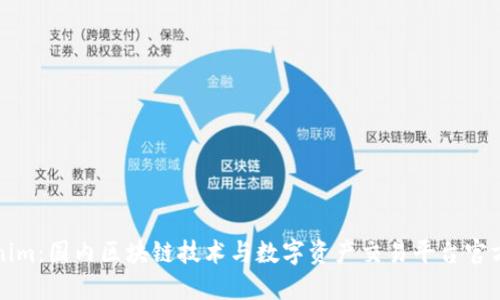 Tokenim：国内区块链技术与数字资产交易平台官方介绍