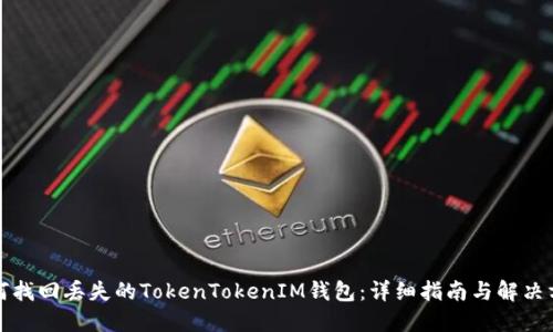 如何找回丢失的TokenTokenIM钱包：详细指南与解决方案