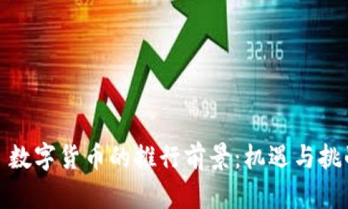 : 数字货币的推行前景：机遇与挑战