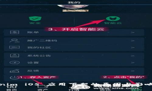 Tokenim iOS 应用下架的原因与影响分析