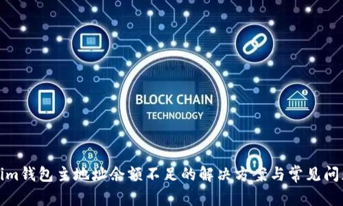 Tokenim钱包主地址余额不足的解决方案与常见问题解析