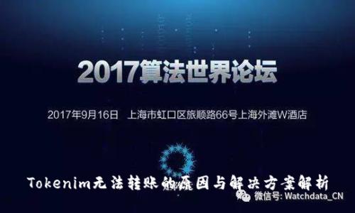 Tokenim无法转账的原因与解决方案解析