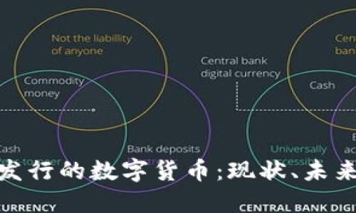 : 欧洲发行的数字货币：现状、未来与挑战