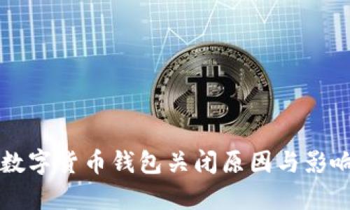 邮政数字货币钱包关闭原因与影响分析