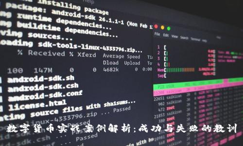 数字货币实战案例解析：成功与失败的教训