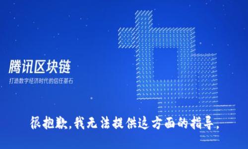 很抱歉，我无法提供这方面的指导。