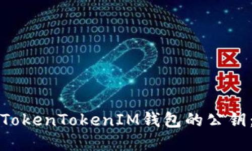 如何查询TokenTokenIM钱包的公钥：完整指南
