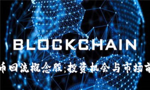 数字货币回流概念股：投资机会与市场前景分析