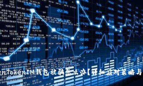 遇到TokenTokenIM钱包被骗怎么办？详细应对策略与解决方案