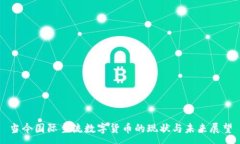 :当今国际主流数字货币的