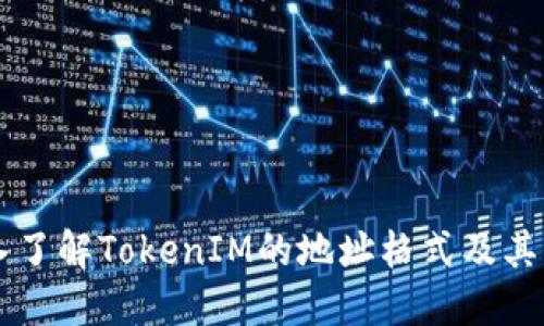 深入了解TokenIM的地址格式及其应用