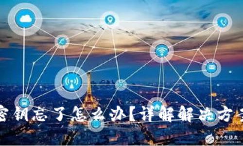 以太坊钱包密钥忘了怎么办？详解解决方案与预防措施