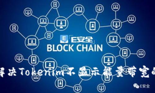 如何解决Tokenim不显示能量带宽的问题