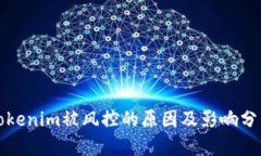 Tokenim被风控的原因及影响