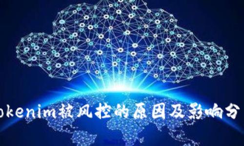 Tokenim被风控的原因及影响分析