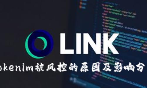 Tokenim被风控的原因及影响分析