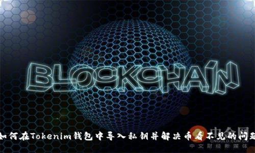如何在Tokenim钱包中导入私钥并解决币看不见的问题