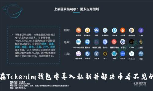 如何在Tokenim钱包中导入私钥并解决币看不见的问题