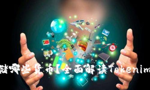 Tokenim可以存储哪些货币？全面解读Tokenim支持的加密资产