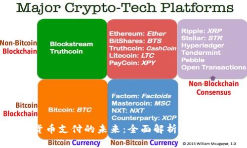 数字货币支付的未来：全面解析与实用指南