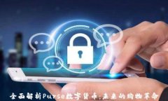 全面解析Purse数字货币：未来的购物革命