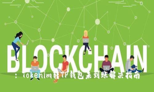 : Tokenim转TP钱包未到账解决指南